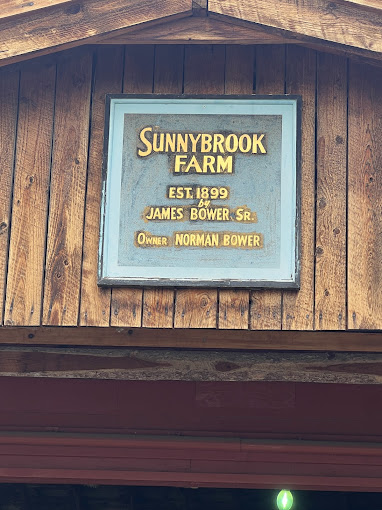 Discovering Sunnybrook: A Family-Friendly Neighborhood in Red Deer, Alberta